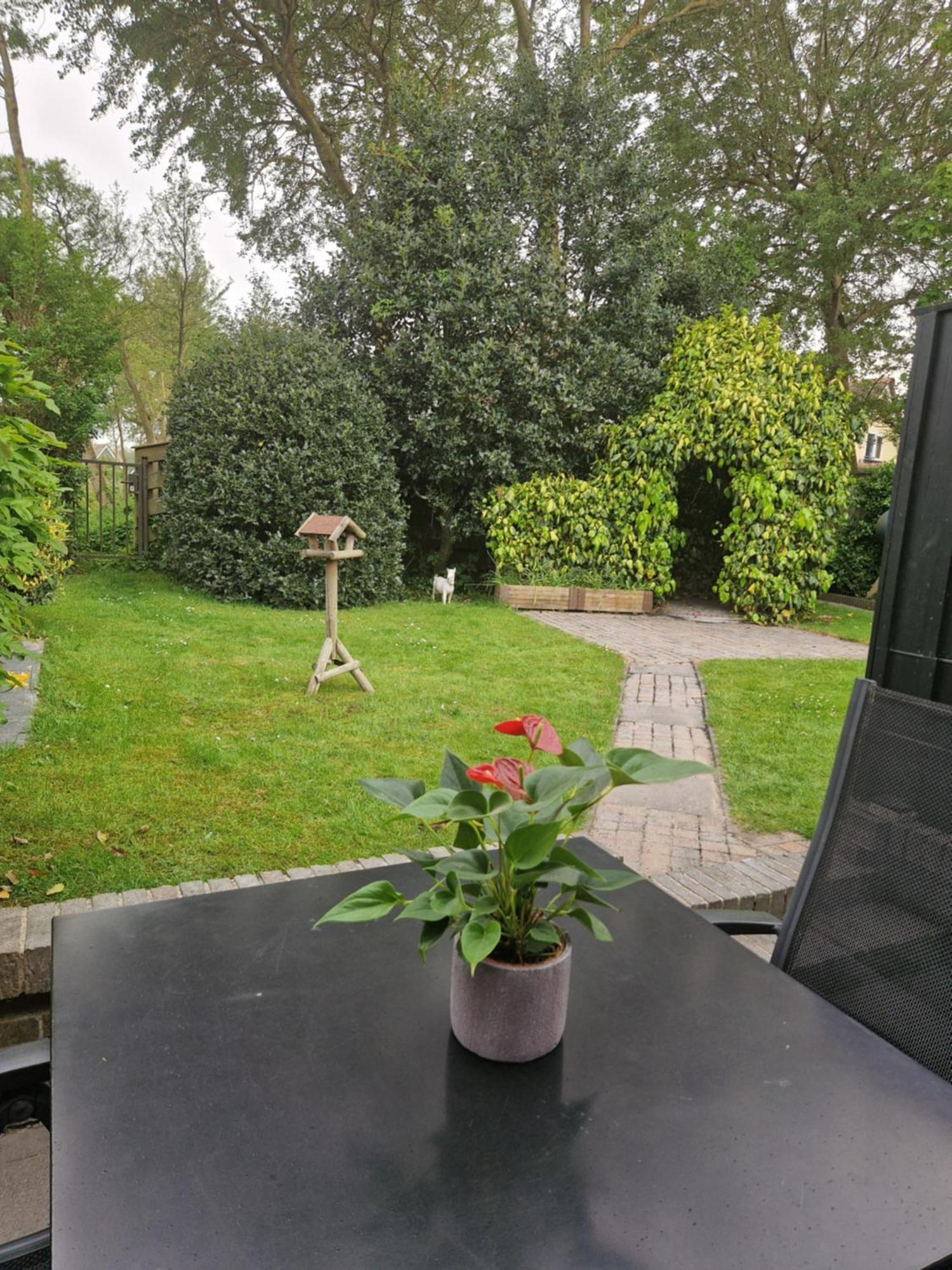 Villa Zeelucht Texel De Koog  Exterior foto